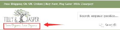  Shoptimized 主题的 Shopify 产品页面的产品页面设计要素分析 第4张