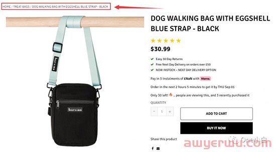  Shoptimized 主题的 Shopify 产品页面的产品页面设计要素分析 第12张