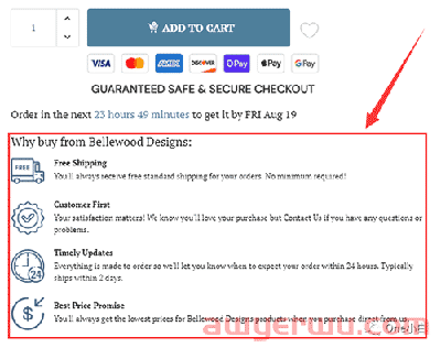  Shoptimized 主题的 Shopify 产品页面的产品页面设计要素分析 第25张