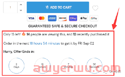 Shoptimized 主题的 Shopify 产品页面的产品页面设计要素分析 第23张