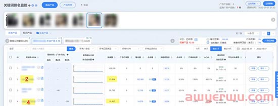 亚马逊旺季还在高价抢流量？这样推关键词排名有奇效！ 第6张
