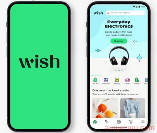 凉凉？！北美电商巨头Wish掌门人退场 第1张