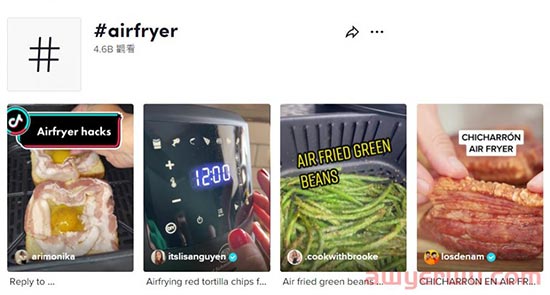TikTok搜索量周榜第一！空气炸锅这款单品又“炸”了 第1张