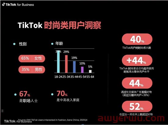 TikTok爆款类目运营技巧：时尚、美妆及家居品类 第1张
