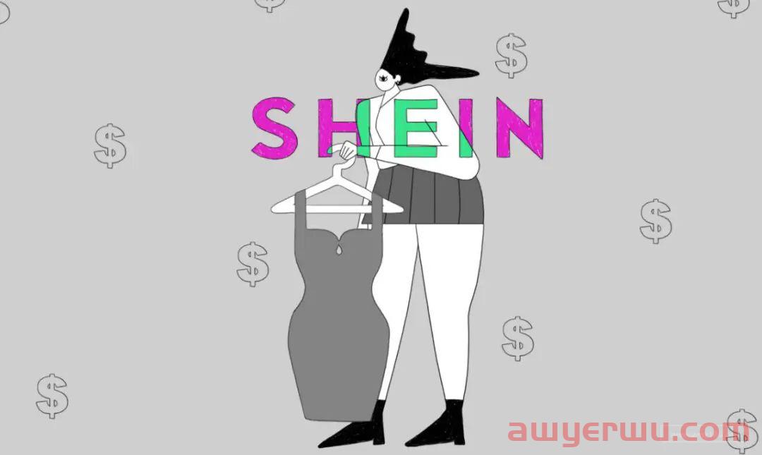 出海者逐利快时尚风口：一场盛大的SHEIN模仿秀 第1张