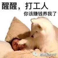 旺季爆单预警！亚马逊新招聘15万名员工，vine计划限时享受50%折扣！ 第2张