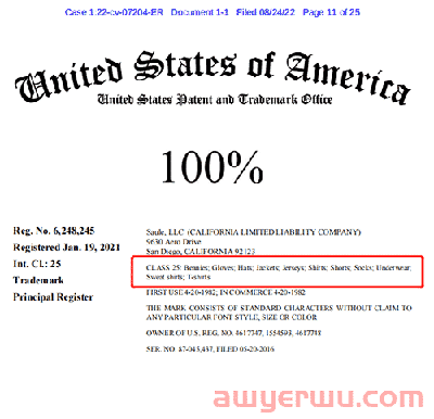 暴雷！100%竟是侵权商标，冻结卖家130+，被告名单已出！ 第6张