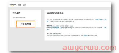 2022年未注册品牌，还能做好亚马逊吗？ 第8张