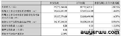 意外！沃尔玛户外大佬营收大幅下跌 第3张
