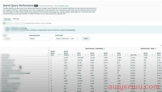 亚马逊搜索词变现报告表search query report 表格化管理（内附搜索词表现报告分析器） 第1张