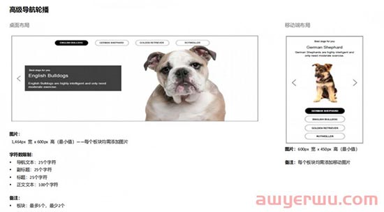 有效提高产品转化率，并且免费！亚马逊后台高级A+功能，你使用了吗？ 第3张