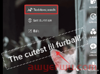 这些技巧助你完成TikTok地道英文输出 第3张