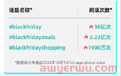 注意！TikTok黑五大促节奏及玩法曝光 第2张
