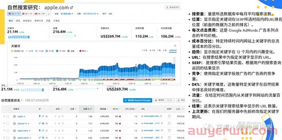 跨境电商独立站SEO 5步指南-提升节日购物季销售额必须知道的事 第12张