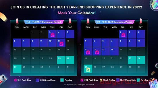 双11大促在即，TikTok电商在印尼上线官方商城，意味着什么？ 第7张