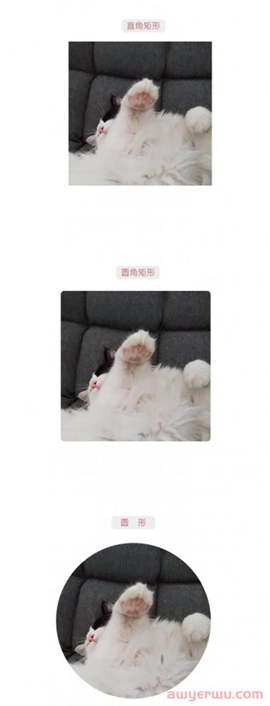 图片设计中，不同的图片形状是怎么影响客户感受的？ 第1张