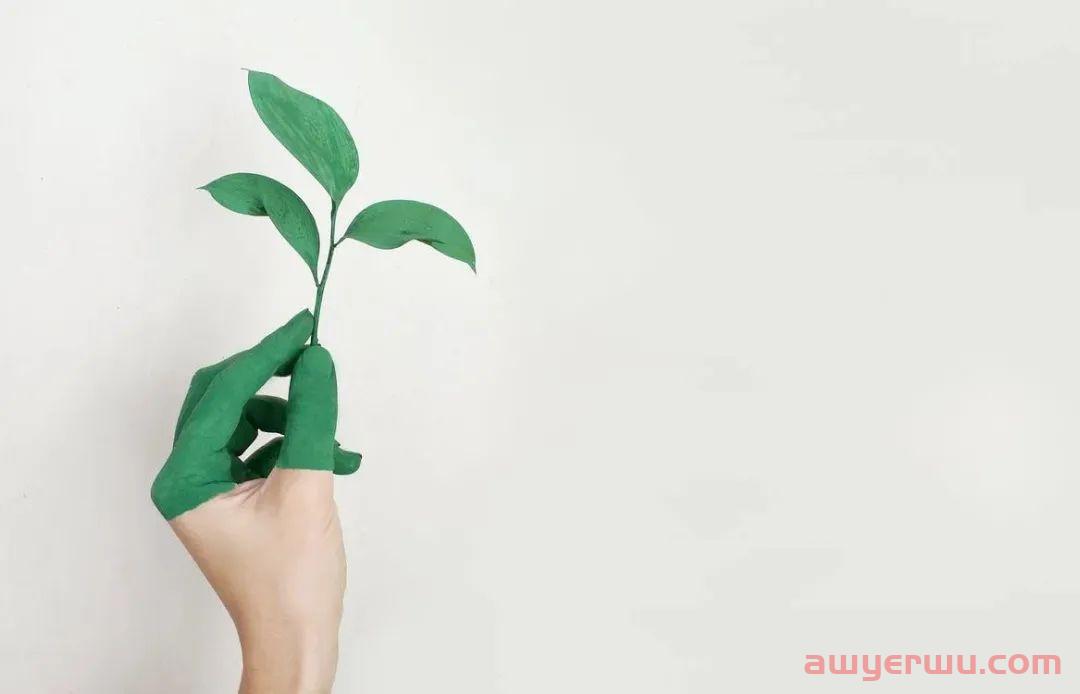 流量为王的时代，亚马逊新手卖家如何打造产品？ 第1张