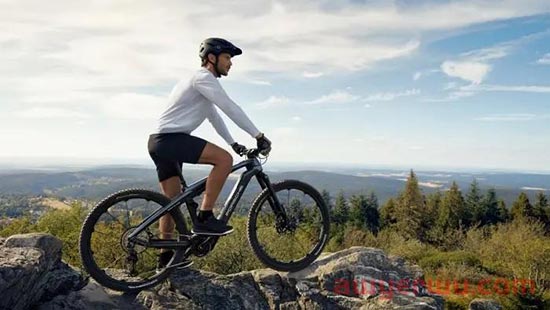 二轮车骑出新赛道，E-Bike会是下一个出海爆款吗？ 第1张
