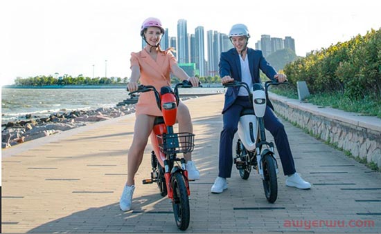 二轮车骑出新赛道，E-Bike会是下一个出海爆款吗？ 第2张