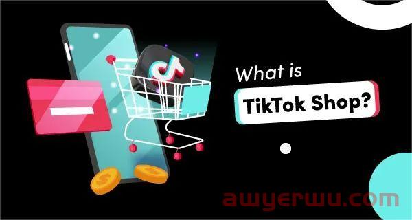 全球捞金！TikTok Shop正筹谋多个市场 第2张