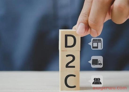 跨境独立站DTC电商入门通用策略，让你少走弯路更高效地布局市场 第1张