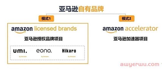 什么是亚马逊品牌授权项目？亚马逊为什么要取消授权品牌 第2张