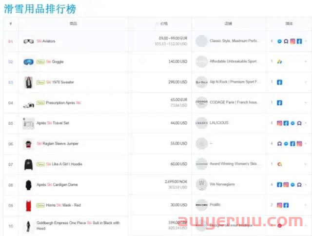独立站卖家如何把握好冰雪市场？ 第2张