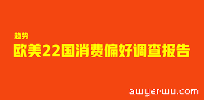 赢麻了！欧美22国跨境消费习惯调查报告，被这些跨境卖家拿捏了！ 第1张