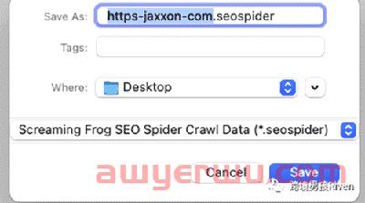 独立站SEO:Screaming Frog（尖叫青蛙）-网站SEO技术诊断图文教程 第20张