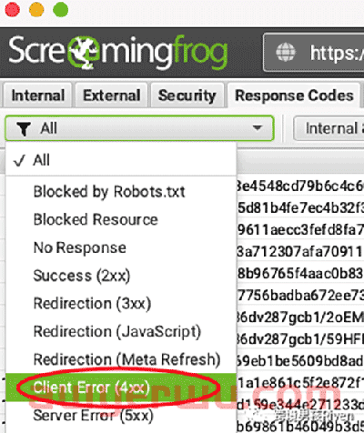 独立站SEO:Screaming Frog（尖叫青蛙）-网站SEO技术诊断图文教程 第25张