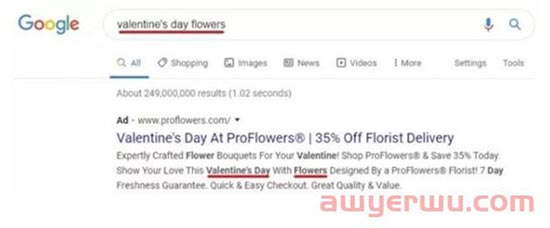 独立站的Google购物广告标题怎么写? 第1张