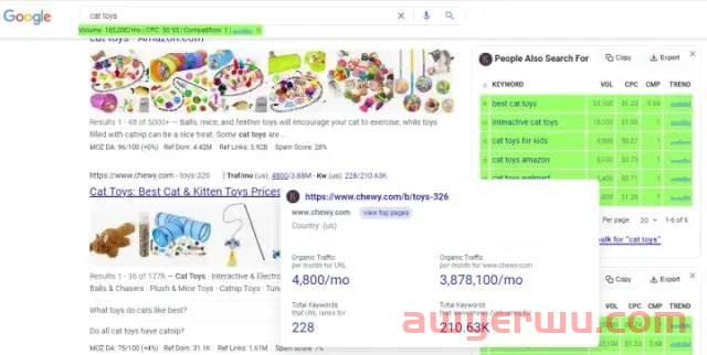 盘点独立站大神都在用20个Chrome浏览器插件 第8张