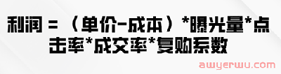 独立站如何盈利？低成本运营公式大揭秘 第5张