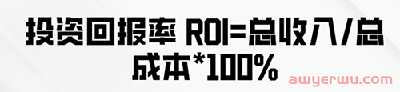独立站如何盈利？低成本运营公式大揭秘 第6张