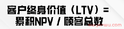 独立站如何盈利？低成本运营公式大揭秘 第9张