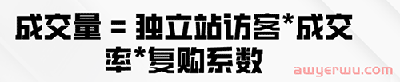 独立站如何盈利？低成本运营公式大揭秘 第3张