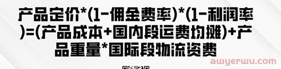 独立站如何盈利？低成本运营公式大揭秘 第2张