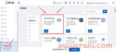 独立站全场优惠券怎么玩？如何推送优惠消息？ 第2张