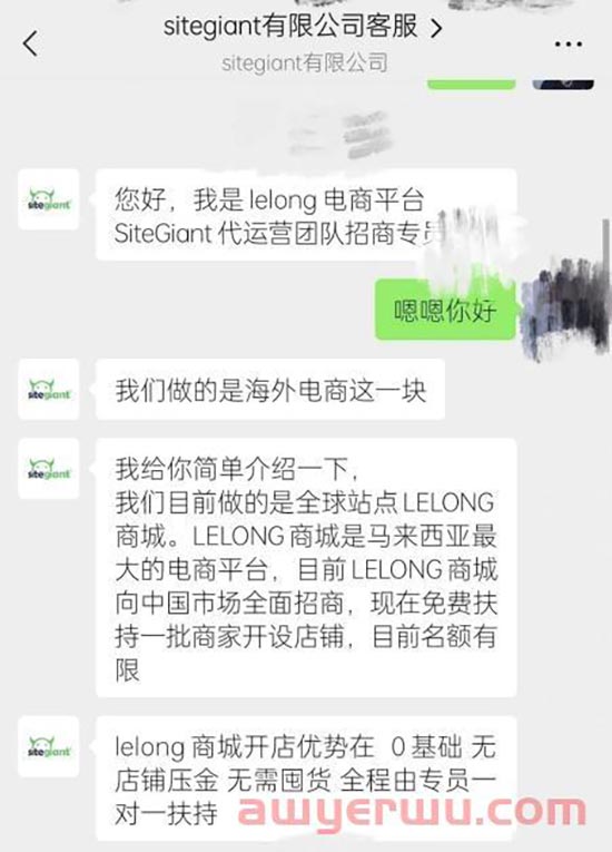 “Lelong shop”-杀猪盘真相：跨境圈的李逵与李鬼 第1张