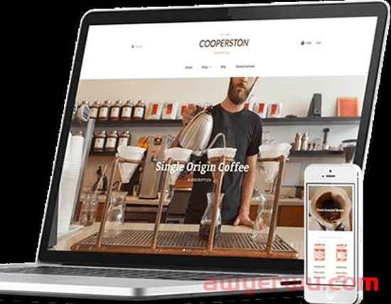 Shopify和wordpress哪个建独立站更好? 第3张