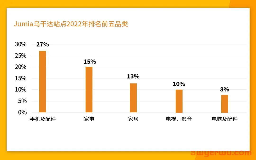 东非市场与品类解读，如何赶上非洲电商的新窗口 第7张