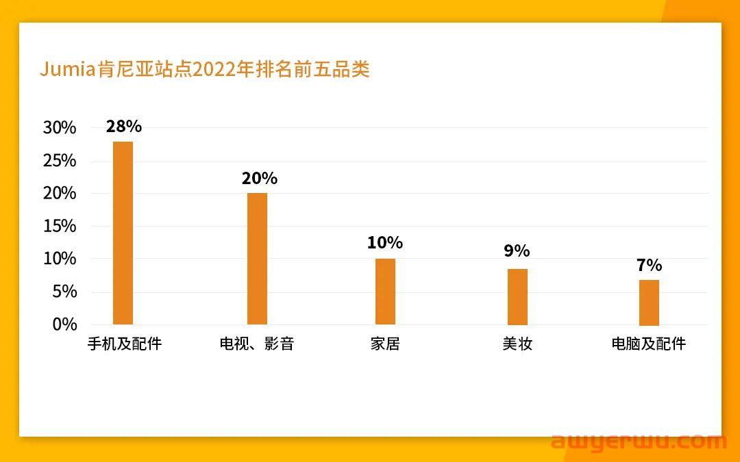 东非市场与品类解读，如何赶上非洲电商的新窗口 第6张