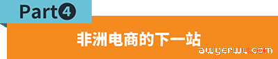 东非市场与品类解读，如何赶上非洲电商的新窗口 第8张