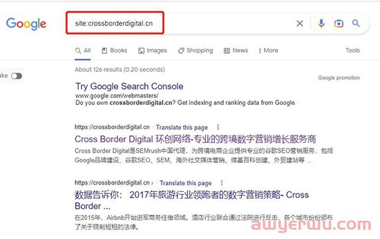 独立站不被谷歌收录的原因有哪些？ 第1张