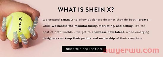 还在寻找蓝海？SHEIN最近的高层调整已经指明方向 第3张