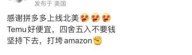 一分钱还包邮！拼多多 Temu 性价比之路能走多久？ 第1张