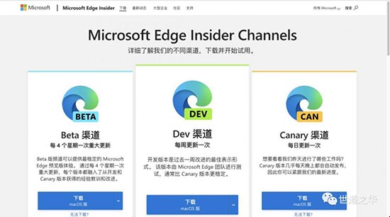 使用教程 | 甩了ChatGPT几条街的New Bing教程来了 第8张