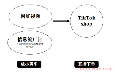 TikTok网红种草的4大转化路径 第3张