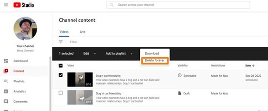 如何安排YouTube视频：可操作的分步指南 第33张