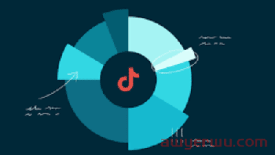TikTok直播带货底层逻辑 第2张